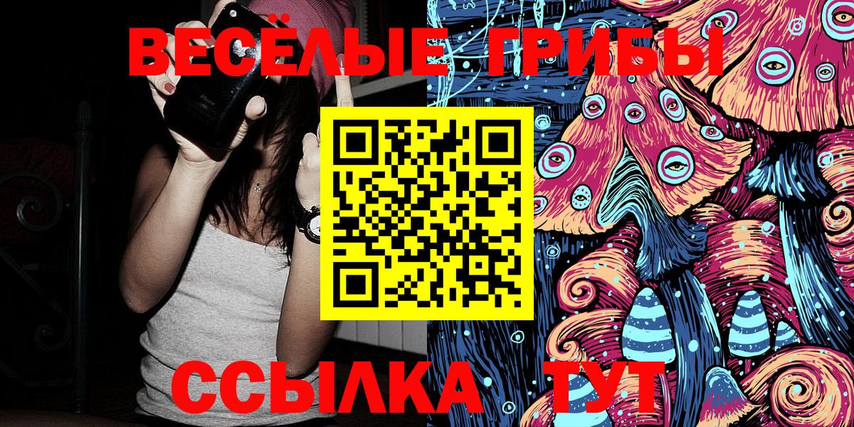 купить   Псилоцибиновые грибы GOLDEN TEACHER  Вход с VPN  Орехово-Зуево  Галлюциногенные грибы Magic Shrooms 