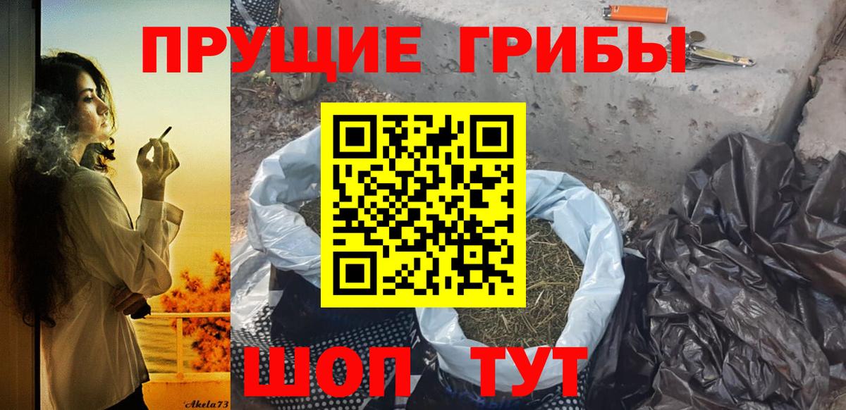 Псилоцибиновые грибы Cubensis Орехово-Зуево
